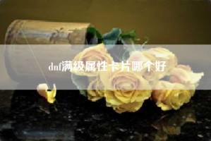 dnf满级属性卡片哪个好