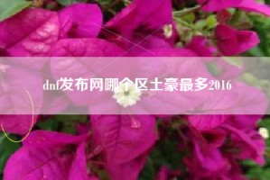 dnf发布网哪个区土豪最多2016