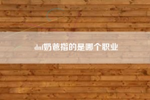 dnf奶爸指的是哪个职业