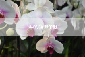 dnf钓鱼哪个好