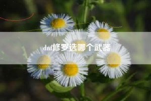 dnf修罗选哪个武器