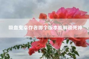 吸血鬼幸存者哪个版本能解锁死神