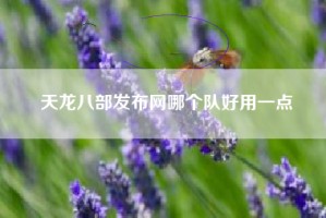 天龙八部发布网哪个队好用一点