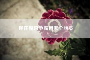 现在魔兽争霸用哪个版本