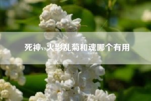 死神vs火影乱菊和魂哪个有用