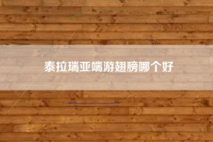 泰拉瑞亚端游翅膀哪个好
