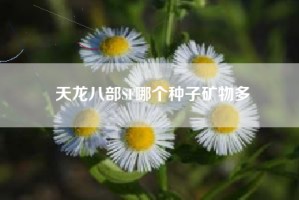 天龙八部SF哪个种子矿物多