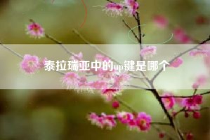 泰拉瑞亚中的up键是哪个