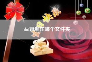 dnf录制在哪个文件夹