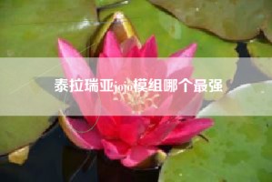 泰拉瑞亚jojo模组哪个最强