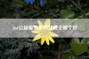 dnf公益服发布网女战士哪个好