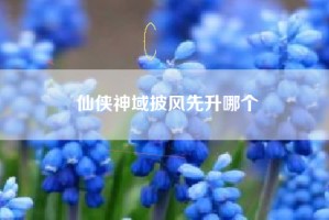 仙侠神域披风先升哪个