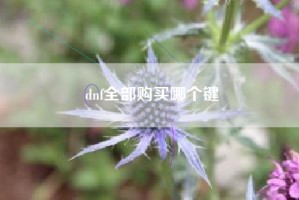 dnf全部购买哪个键