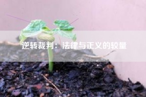 逆转裁判：法律与正义的较量