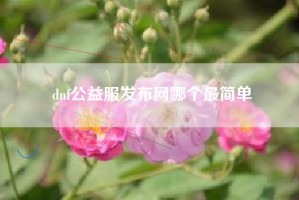 dnf公益服发布网哪个最简单
