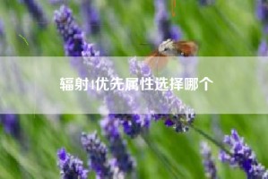辐射4优先属性选择哪个