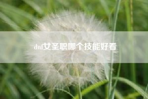 dnf女圣职哪个技能好看