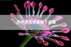 地铁逃生快是哪个主播