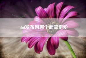dnf发布网哪个武器更粉