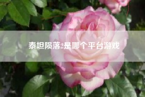 泰坦陨落2是哪个平台游戏