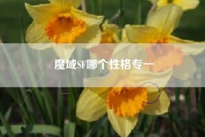 魔域SF哪个性格专一