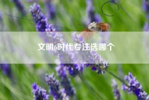 文明6时代专注选哪个