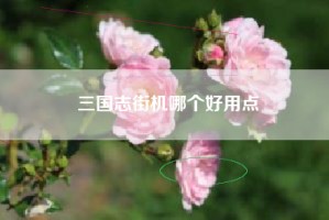 三国志街机哪个好用点