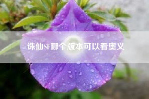 诛仙SF哪个版本可以看奥义