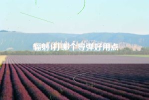 辐射4打哪个导弹好用点