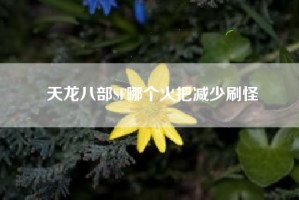 天龙八部SF哪个火把减少刷怪