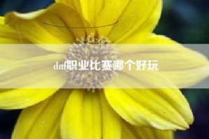 dnf职业比赛哪个好玩