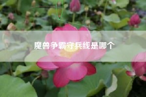 魔兽争霸守兵线是哪个