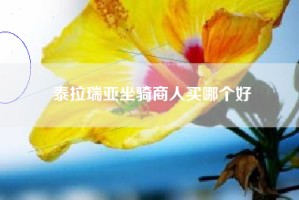 泰拉瑞亚坐骑商人买哪个好