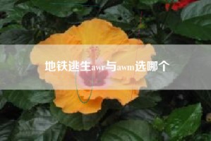 地铁逃生awr与awm选哪个