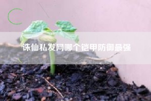 诛仙私发网哪个铠甲防御最强