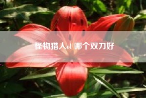 怪物猎人ol 哪个双刀好