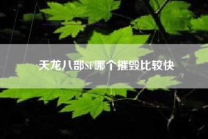 天龙八部SF哪个摧毁比较快