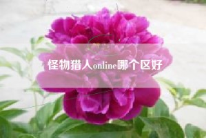 怪物猎人online哪个区好