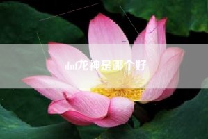 dnf龙神是哪个好