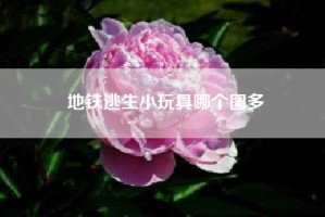 地铁逃生小玩具哪个图多