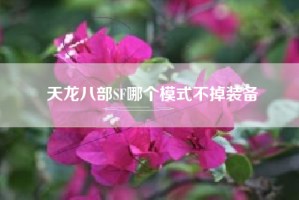 天龙八部SF哪个模式不掉装备