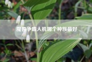 魔兽争霸人机哪个种族最好