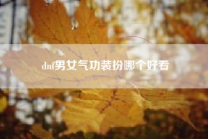 dnf男女气功装扮哪个好看