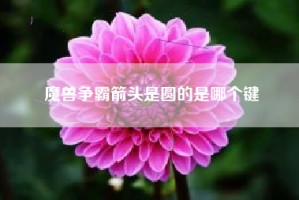 魔兽争霸箭头是圆的是哪个键