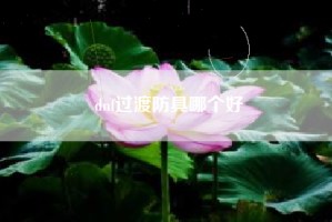 dnf过渡防具哪个好