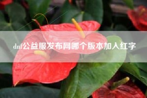 dnf公益服发布网哪个版本加入红字
