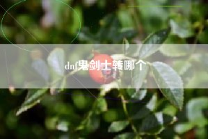 dnf鬼剑士转哪个