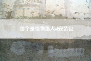哪个是怪物猎人ol安装包