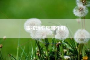 泰拉瑞亚镐哪个好