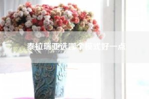 泰拉瑞亚选哪个模式好一点